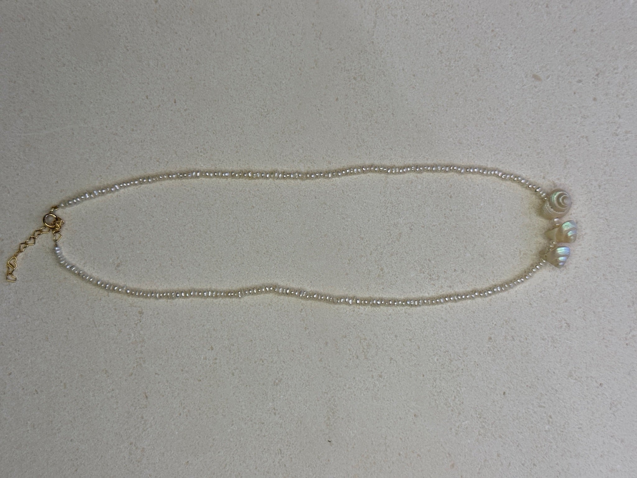 Shell Lulu Pearl Necklace