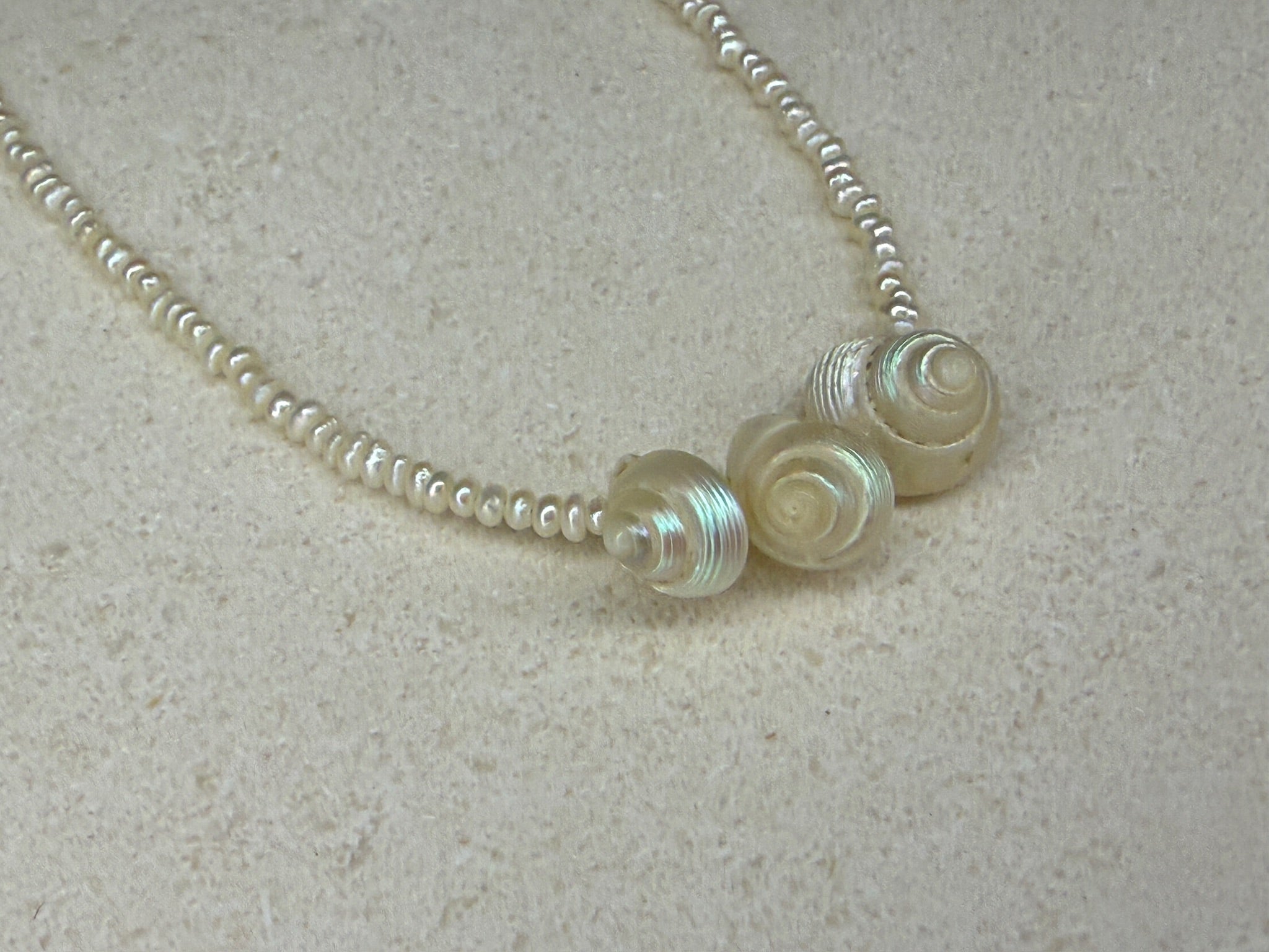 Shell Lulu Pearl Necklace