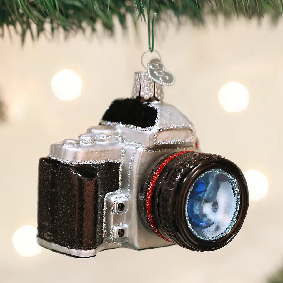 Camera Ornament