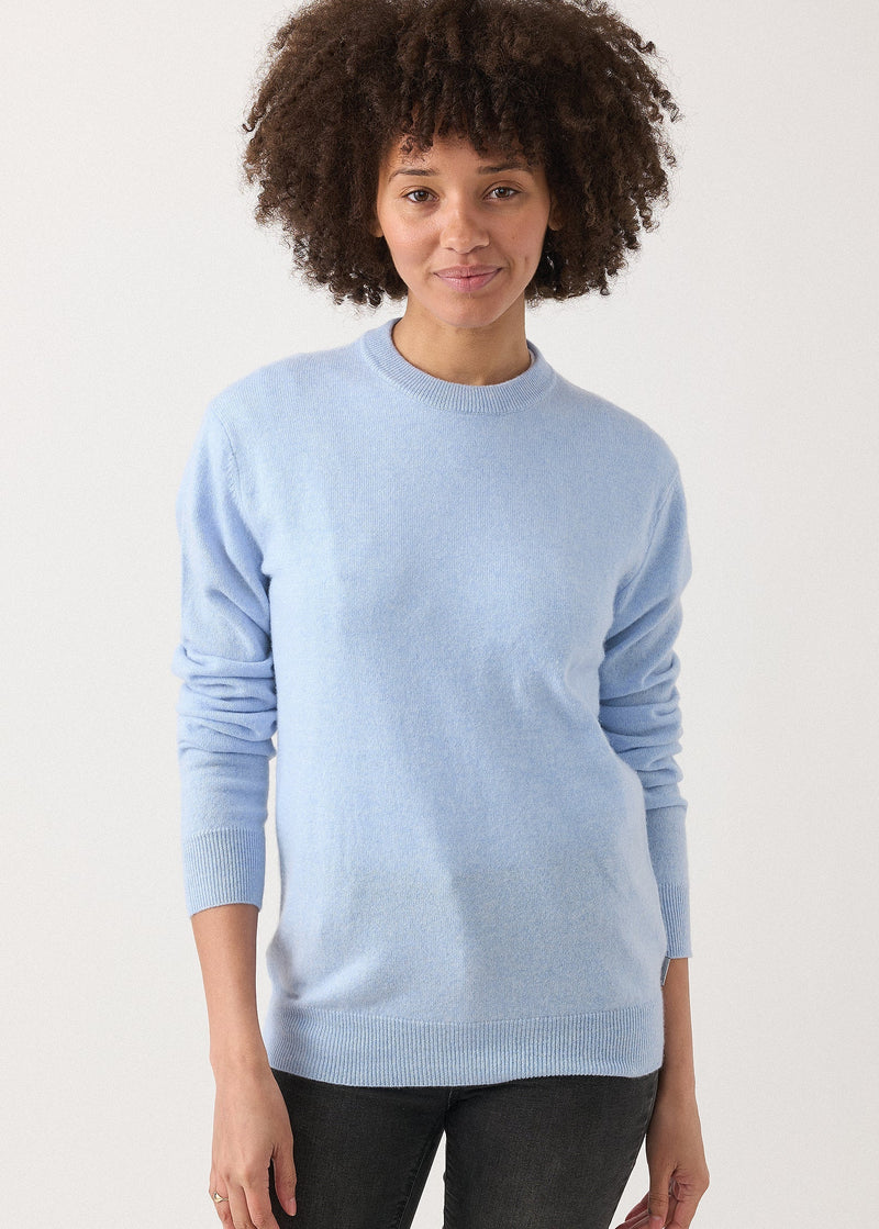hank-unisex-chester-crewneck-sweater-in-pale-blue