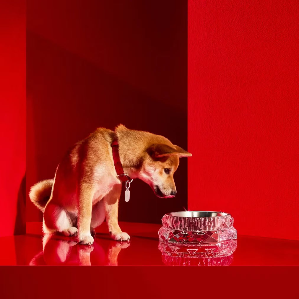 Louxor Pet Bowl, Large